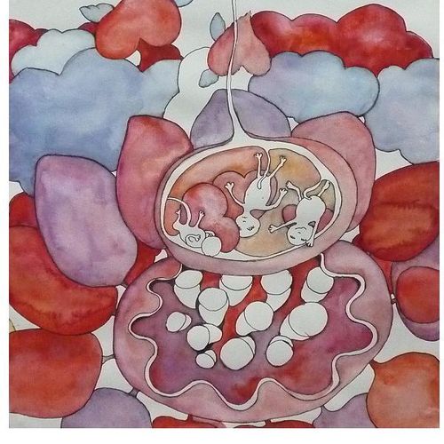 Lotusbabies