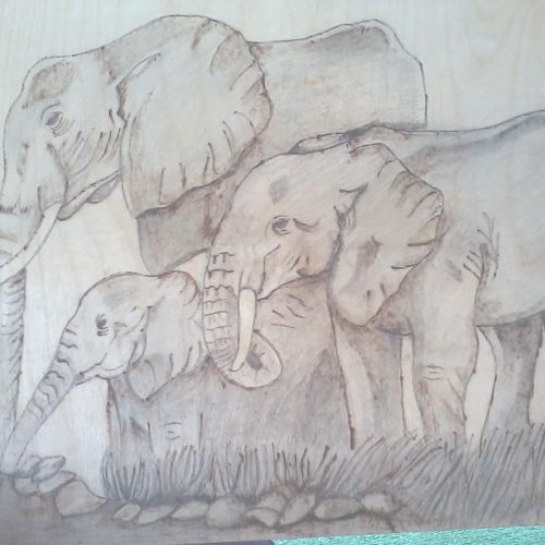 elphants dring water