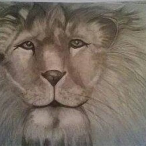 Big Cat