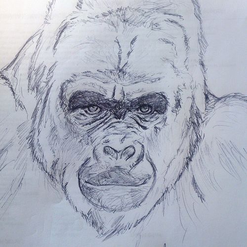 The Old Man of the Jungle