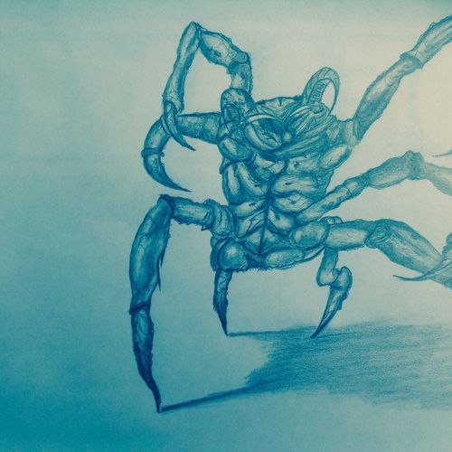 Spider crab 