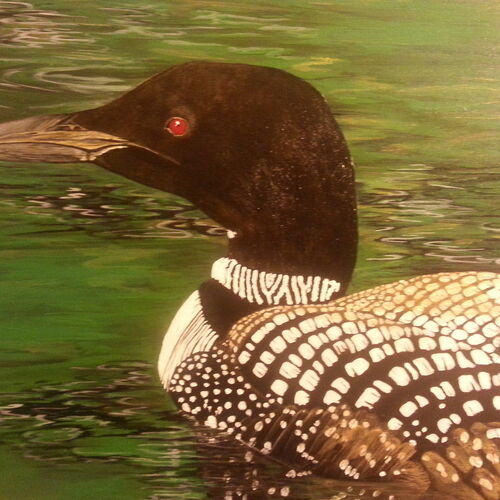 Loon on Annebesacook Lake
