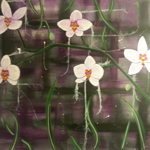 Orchids