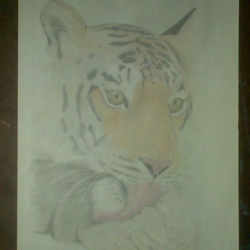 Shalom Art Creations