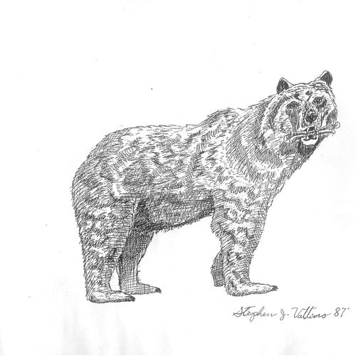 The Vision Of The Four Beasts:  Bear