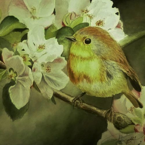 -Spring-