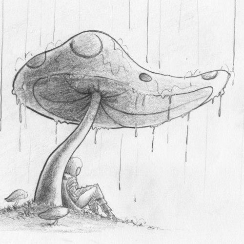 -The Umbrella-