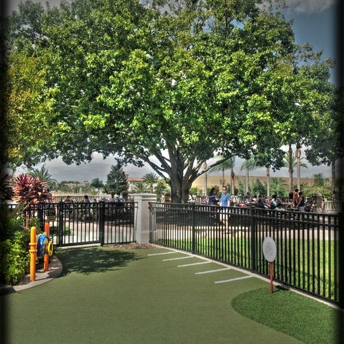 Park