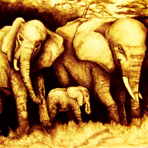 Sketchbook Elephants