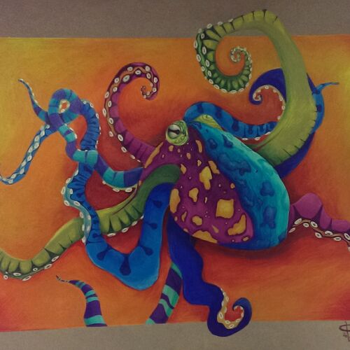 The Octopus