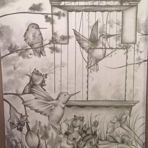 Hummingbid Haven