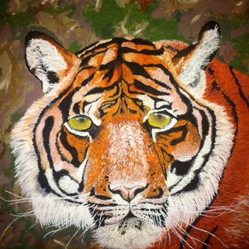 The Animal Inside Me