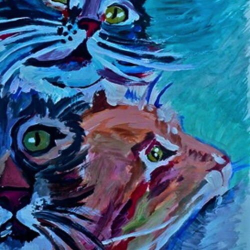 Curious Cats