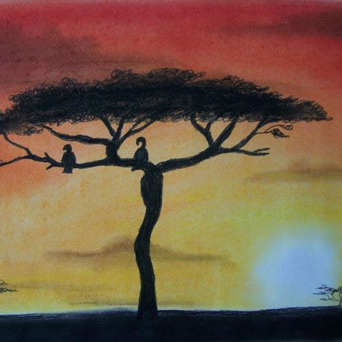 sunset
