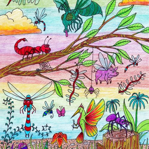 Bugs Beginnings Coloured