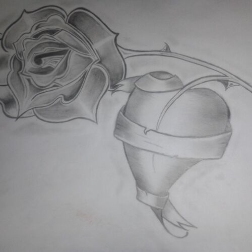 Love in the Rose