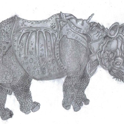 RhinoArmour