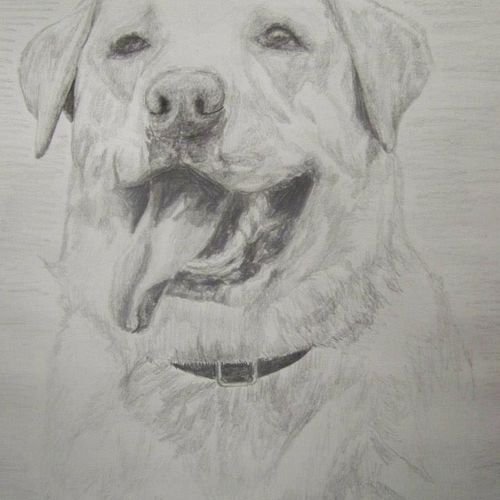 lab portrait