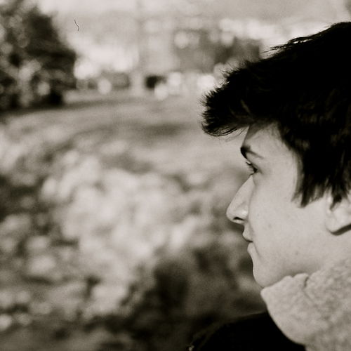 Contemplating Everything