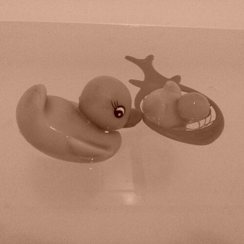 DUCK RESCUE