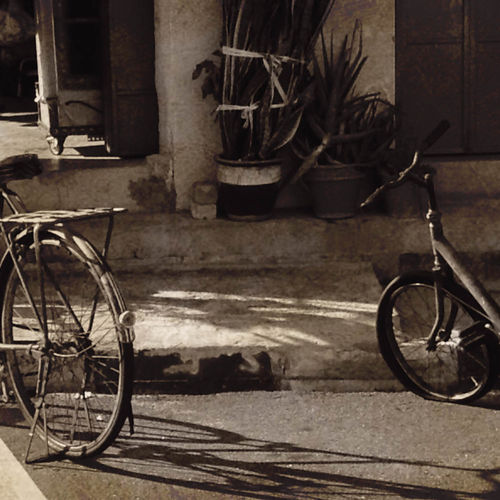 Bicycle