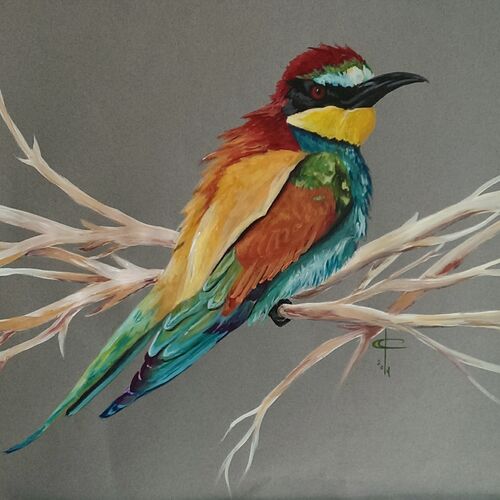 European Bee Catcher