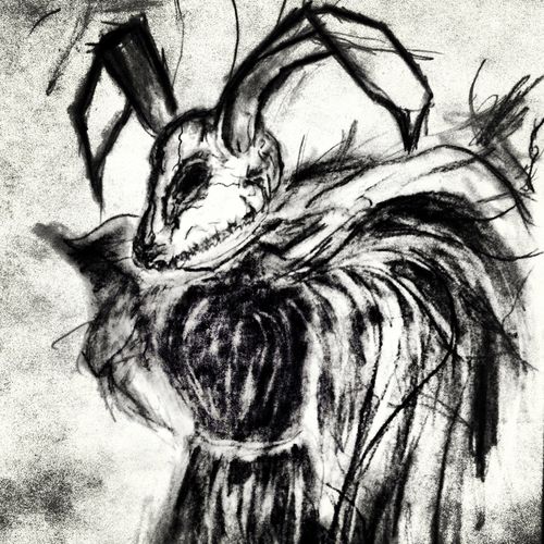 THe White Rabbit