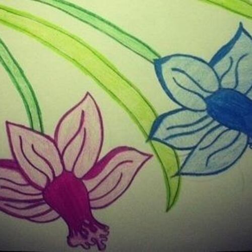 Spring Blooms
