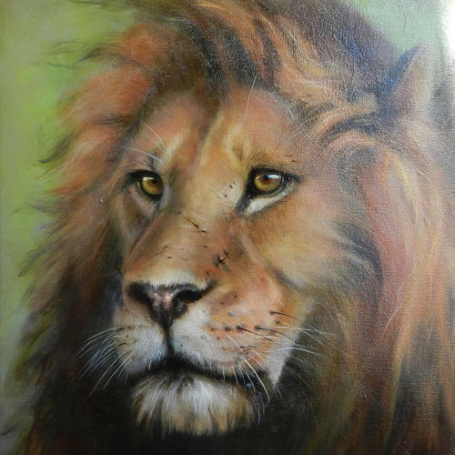 The Lion 