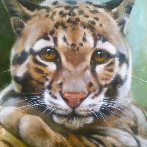 Wild cat