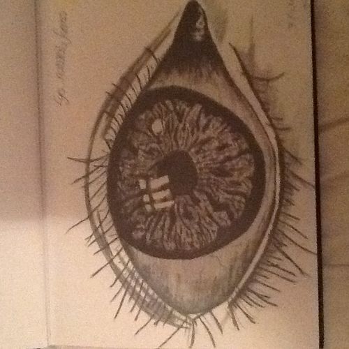 Eye