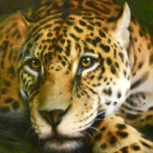 Leopard