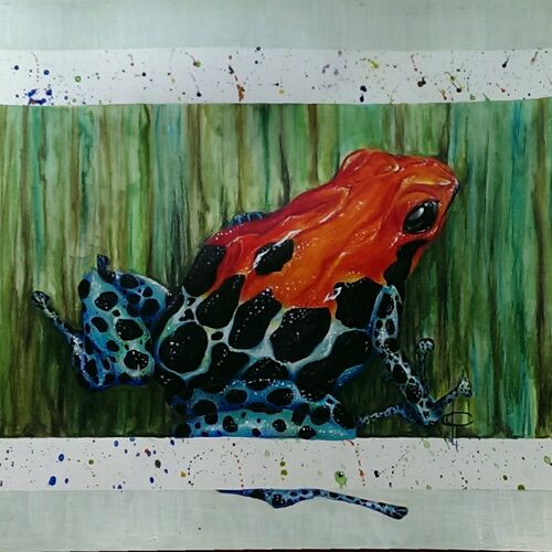 Nature&#039;s Finest