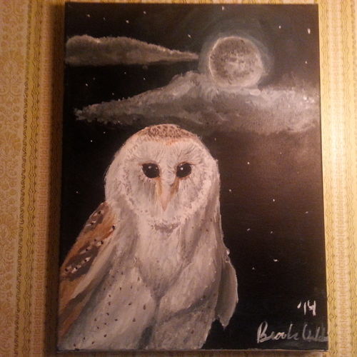 The Wise Old Barn Owl