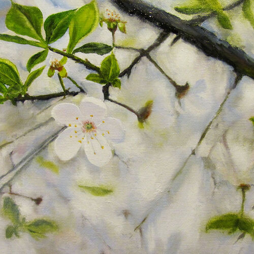 Spring