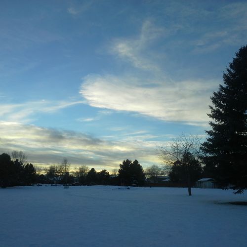 Montana Winter