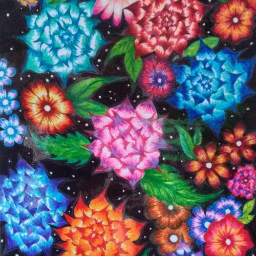 THE NIGHT GARDEN