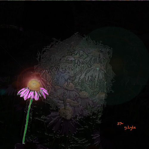 &quot;let the light shine&quot;