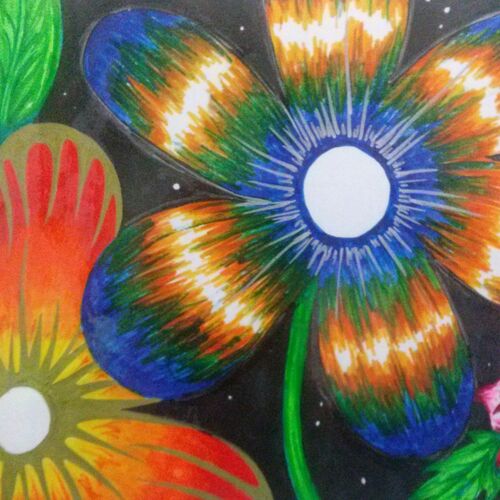 Midnight Flowers
