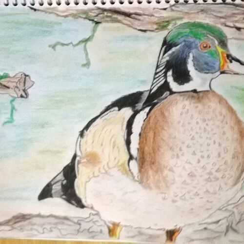 quack
