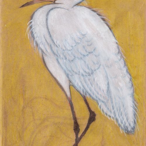 spring heron