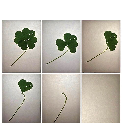 The Anatomy of Luck