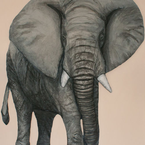 African Elephant