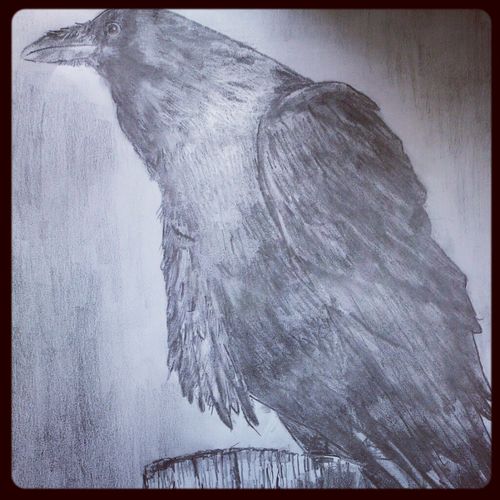 The Raven