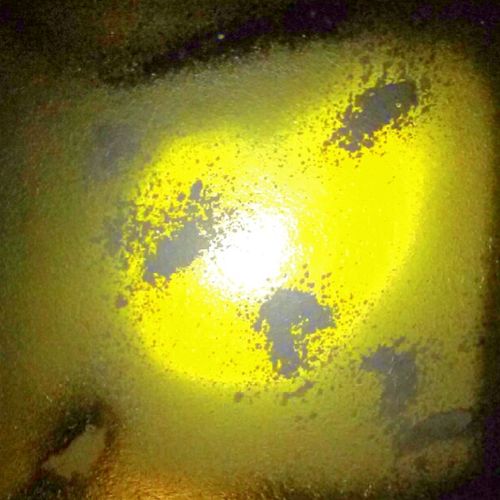 midnight moon dance