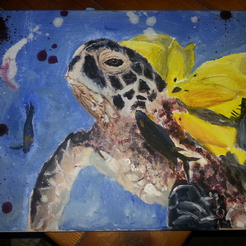 Sea Turtle