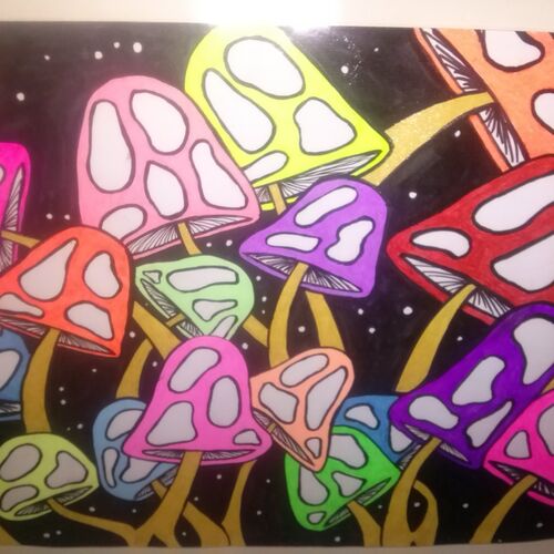 MORE MUSHROOMS