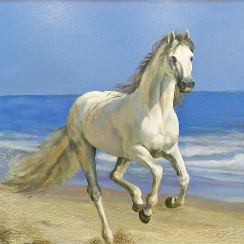  White horse. 