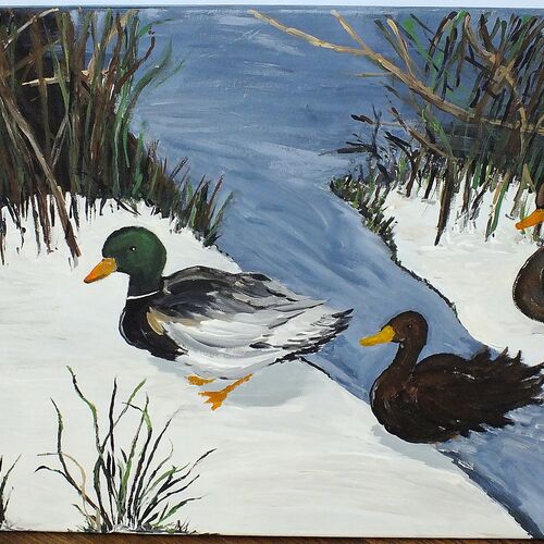 winter ducks