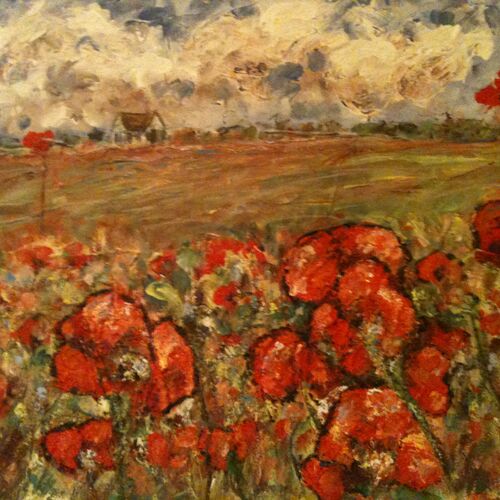 Poppy field